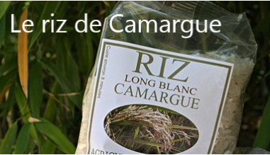 Le riz de Camargue